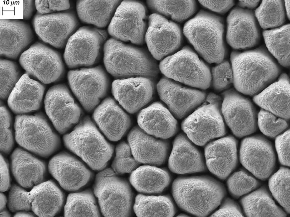microlavorazioni laser