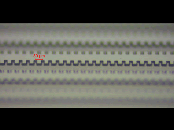 Micro-strutture su vetro
