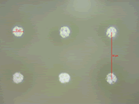 Micro-pillars in ceramic material